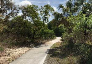 James E. Grey Preserve New Port Richey FL